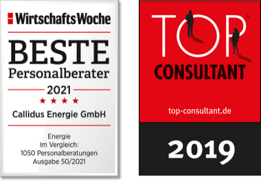 WirtschaftsWoche Beste Personalberater 2021 – Energie, Top Consultant 2019