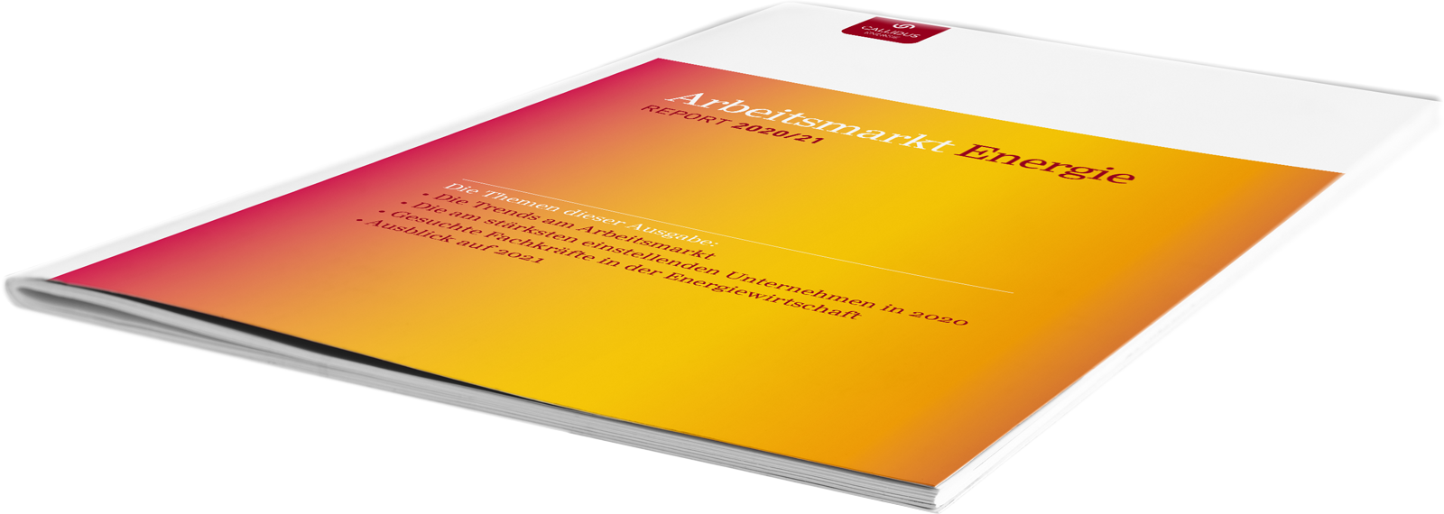 Callidus Energie GmbH – Publication Arbeitsmarkt Energie